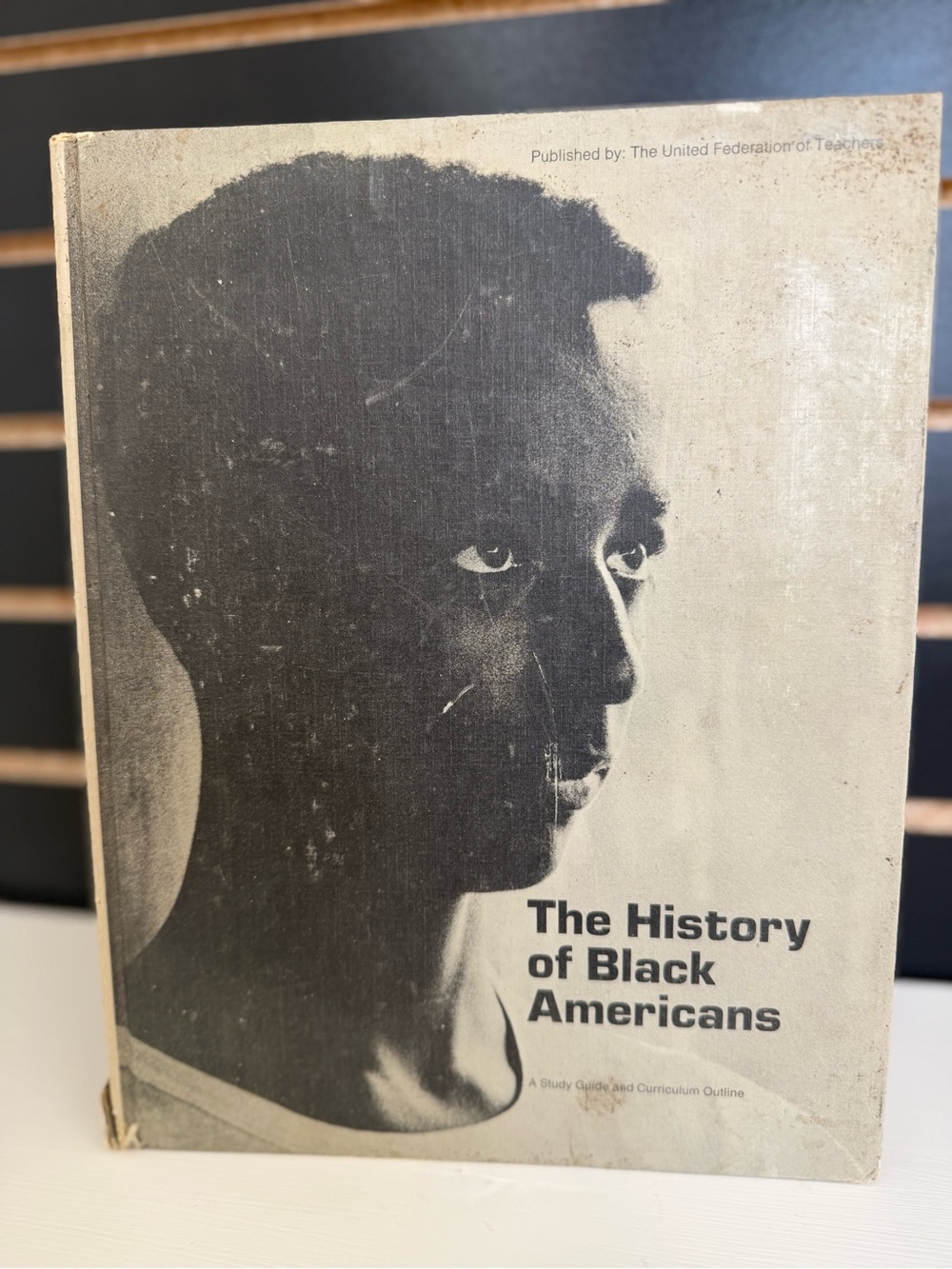 Vintave The History of Black Americans Study Guide 1972 First Edition UFT